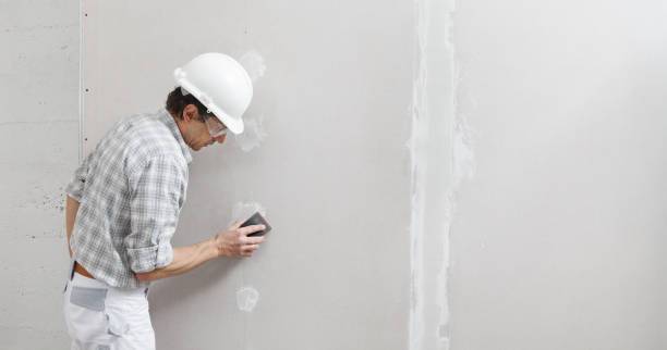 Best Drywall Patching  in USA